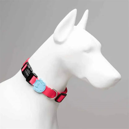 Collier pour chien Lindo Bubble élégant et réglable, petit modèle 30-44 cm