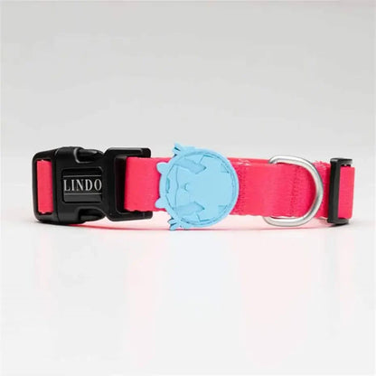 Collier pour chien Lindo Bubble élégant et réglable, petit modèle 30-44 cm