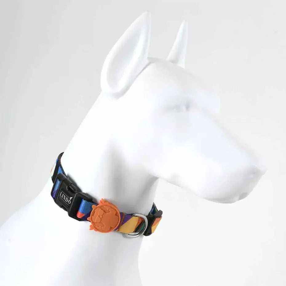 Collar para perro Lindo Ibiza, elegante y ajustable, grande 46-70 cm
