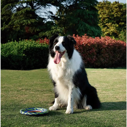 Disque volant pour chien M-Pets Sprintpuff pour jeux actifs