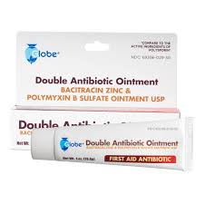 Leader™ Double Antibiotic Ointment (1 oz / 28g) First Aid Pasteur Pharmacy