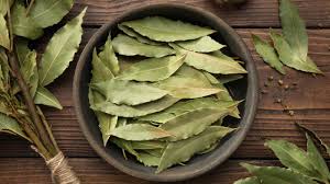 Bay Leaves for Spell Work & Intention Rituals