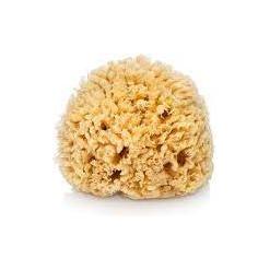 The Sponge Company Sea Silk Bathing Sponge #1 BABY Bathing Sponge Pasteur Pharmacy