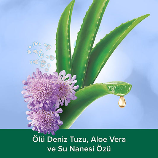 Gel douche naturel Palmolive Aroma Sensations au sel de la mer Morte et à l'aloe vera - 250 ml, gel douche nourrissant et bio