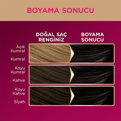 Palette Deluxe: Tinte para el cabello negro intenso 1-0 - Color de larga duración, acondicionamiento profundo con microaceites, coloración permanente para el hogar