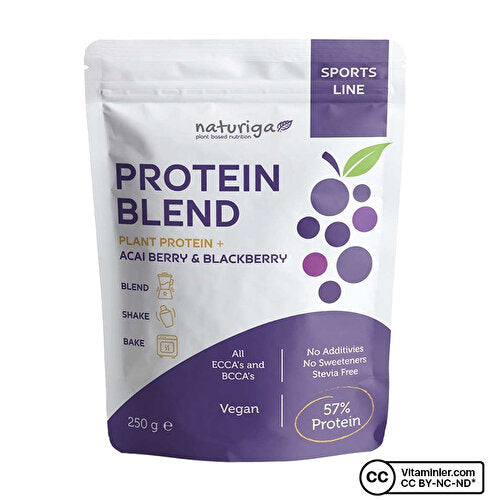 Naturiga Berry Protein Mix 250g