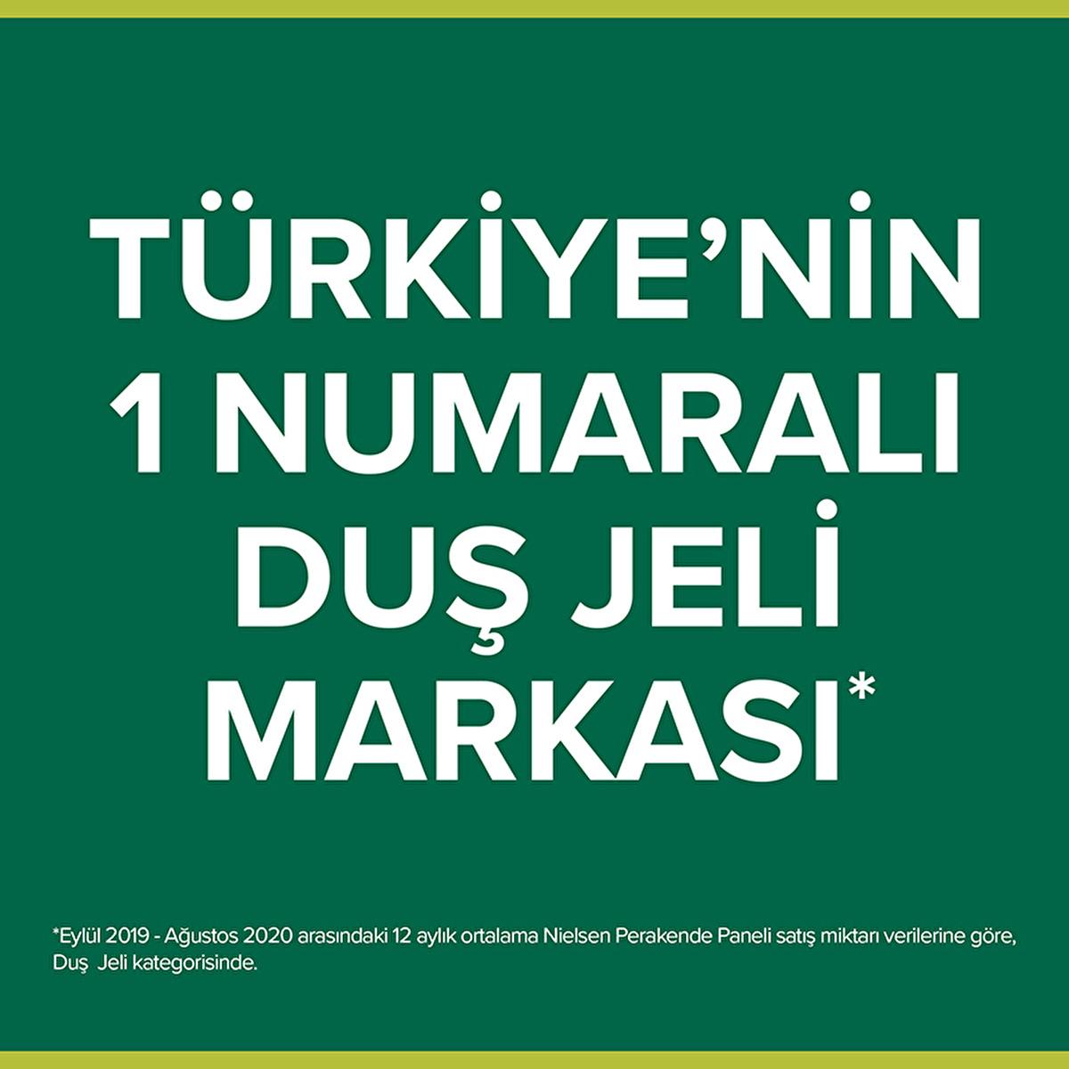 Palmolive Aroma Sensations Natural Shower Gel with Dead Sea Salt & Aloe Vera - 8.45 fl oz, Nourishing & Organic Body Wash