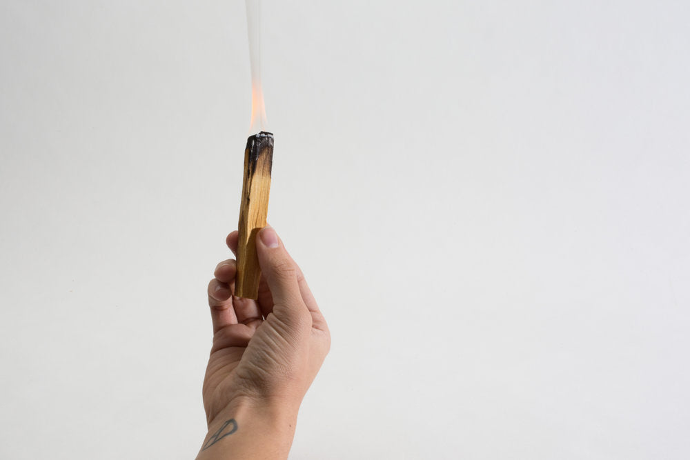 Nourish and Refine Palo Santo Palo Santo Nourish and Refine