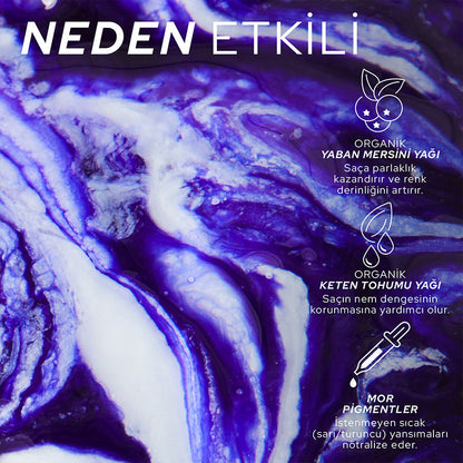 Après-shampooing Cool Silver pour cheveux blonds Ref Stockholm Suède 245 ml