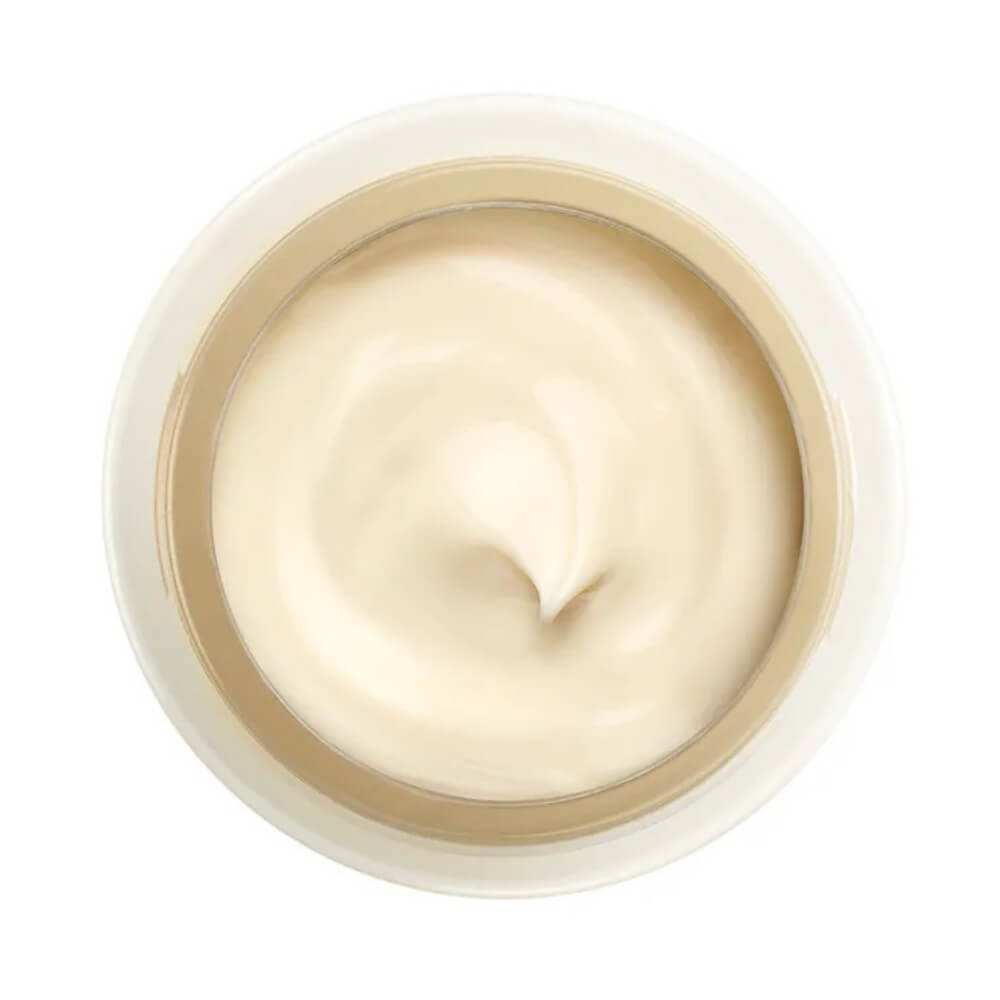 Shiseido Benefiance Nutri Perfect Day Cream for Mature Skin 50ml