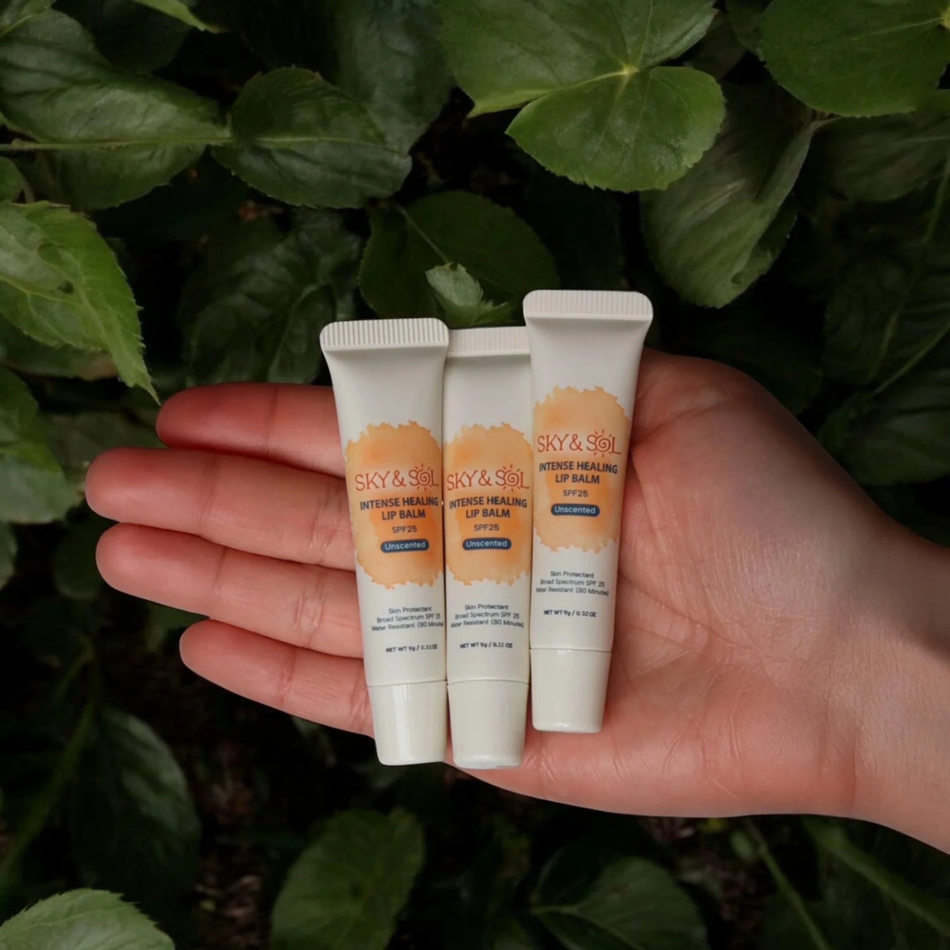 Sky and Sol Lip Jelly SPF 25 (Pack of 3) Sky and Sol