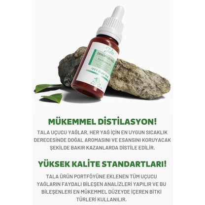 Aceite esencial refrescante de eucalipto Tala 20ml