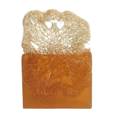 Jabón de aceite de coco con fibra de calabaza natural Turkishcare 120 g