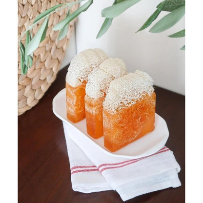 Jabón de aceite de coco con fibra de calabaza natural Turkishcare 120 g