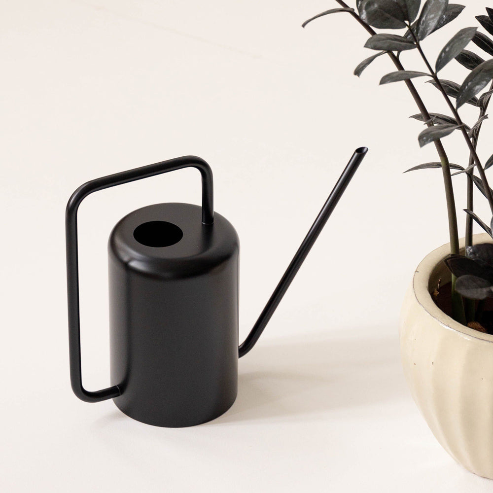 Watering Can Public Goods