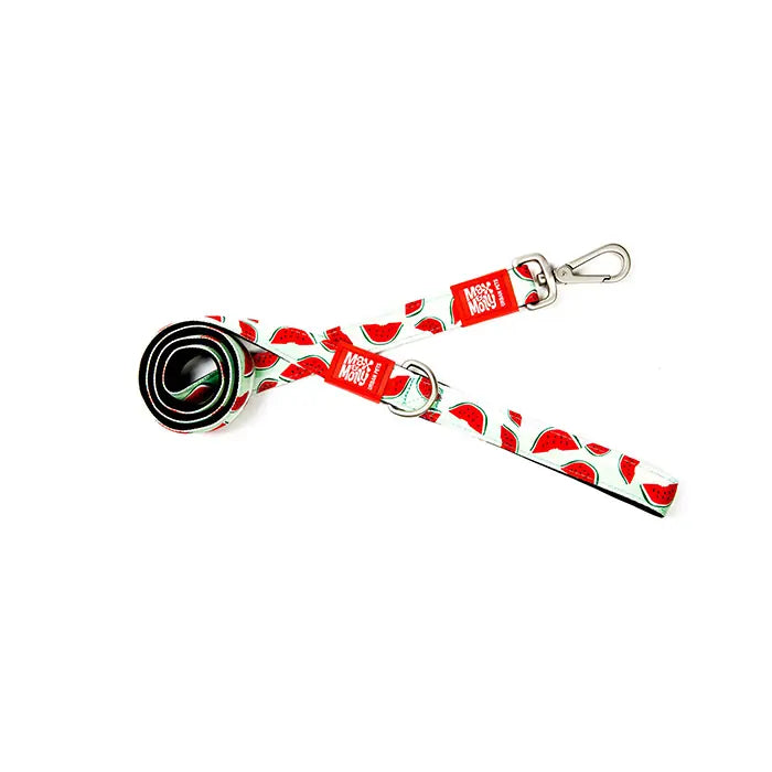Max & Molly Watermelon Dog Leash Stylish Pattern Small