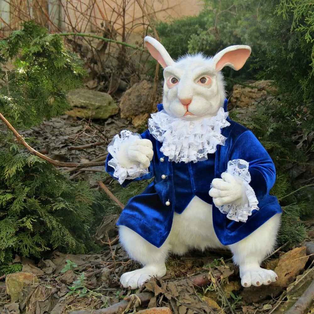 Conejo Blanco