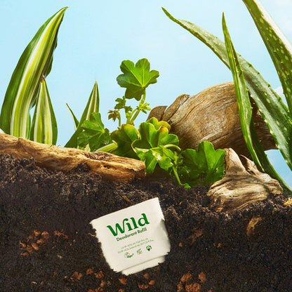 Recambio de desodorante natural de miel silvestre y flor de cactus 40g