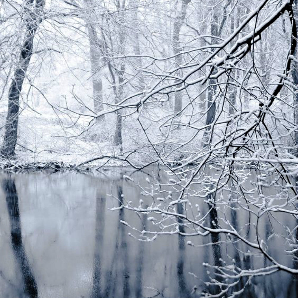 Paraíso invernal